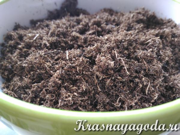 плодородная почва для рассады